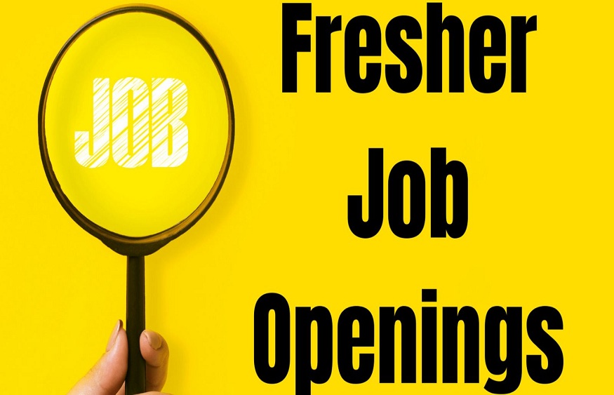 jobs for freshers.
